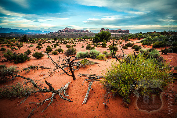 IMG_0934_LR_anp_print