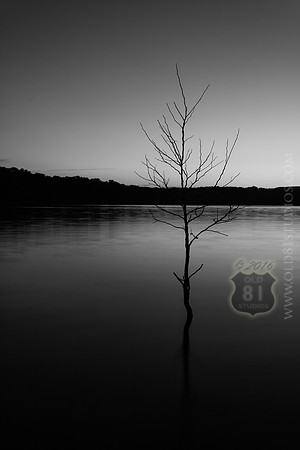 _MG_5277_LR_bw2_print
