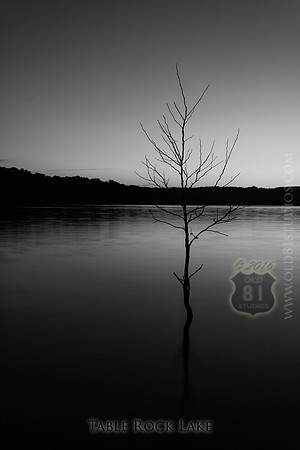 _MG_5277_LR_bw2_print_caption