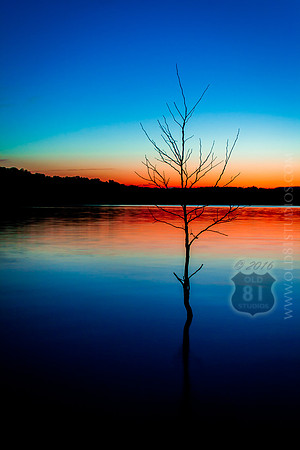 _MG_5277_LR_trl_no_logo_no_caption_2
