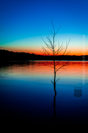 _MG_5277_LR_trl_no_logo_no_caption_2