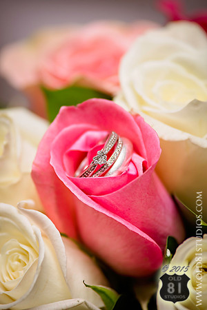 Strikker Images0944