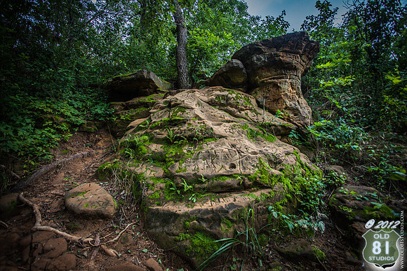 IMG_2042_LR_7f_logo_Inscriptions_on_rocks_with_Moss_and_foliage