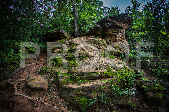 IMG_2042_LR_7f_Inscriptions_on_rocks_with_Moss_and_foliage