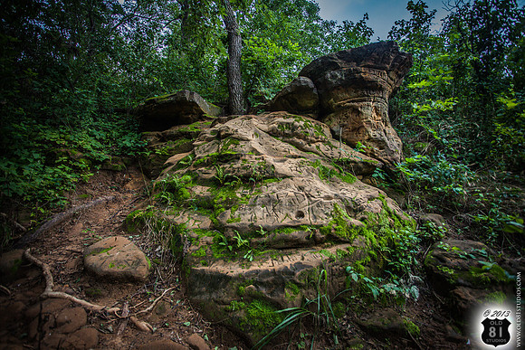 IMG_2042_LR_7f_logo_Inscriptions_on_rocks_with_Moss_and_foliage