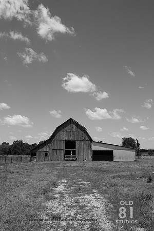 _MG_7425.JPG