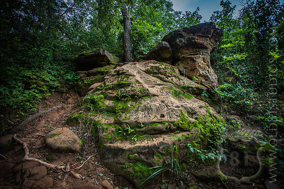 IMG_2042_LR_7f_Inscriptions_on_rocks_with_Moss_and_foliage