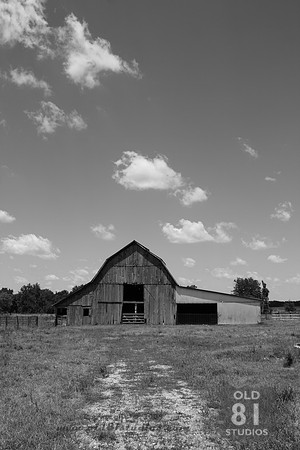 _MG_7427.JPG