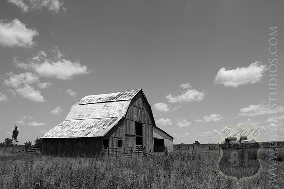 _MG_7397 (original)