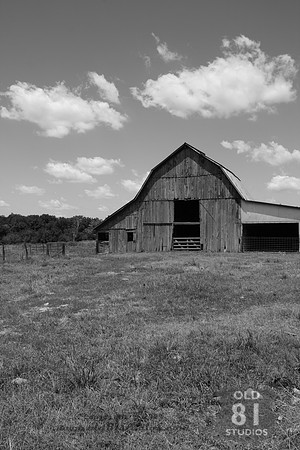 _MG_7360.JPG