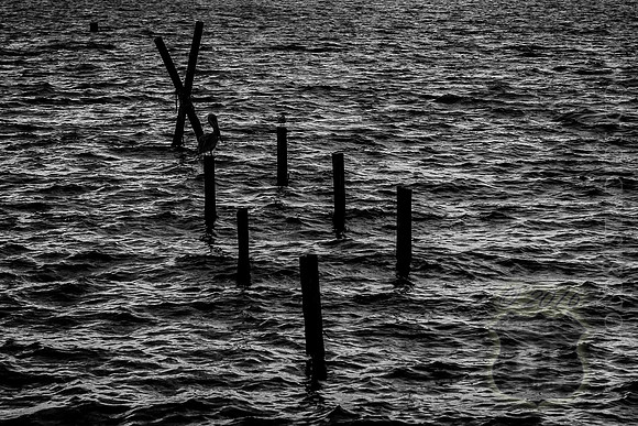 IMG_2702_LR_kfbw1-2_print