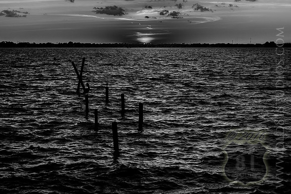 IMG_2702_LR_kfbw1m_print