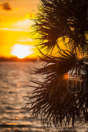 IMG_2698_LR_ihb_fb_web