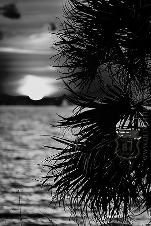 IMG_2698_LR_kfbw2_fb_web