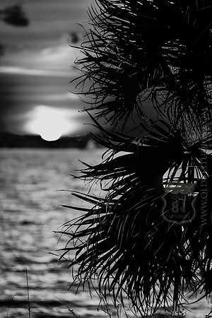IMG_2698_LR_kfbw2_print