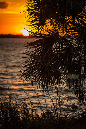 IMG_2701_LR_ihb_fb_web