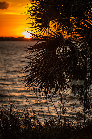 IMG_2701_LR_ihb_print