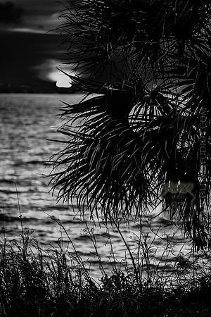 IMG_2701_LR_kfbw1_fb_web