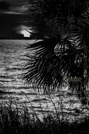 IMG_2701_LR_kfbw1_print