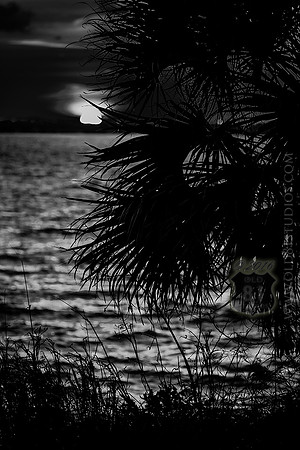 IMG_2701_LR_kfbw1m_fb_web