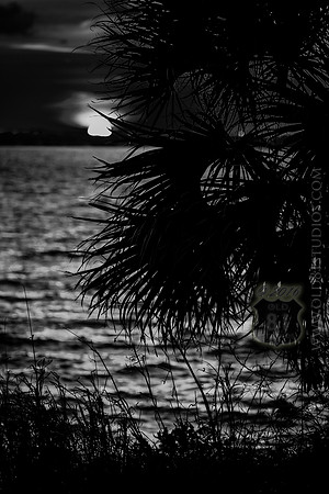 IMG_2701_LR_kfbw1m_print