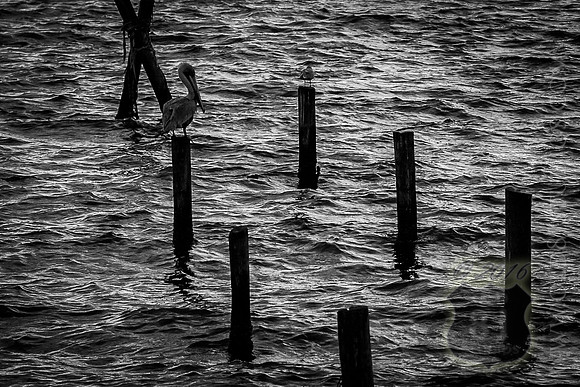 IMG_2702_LR_ihb2BW_print