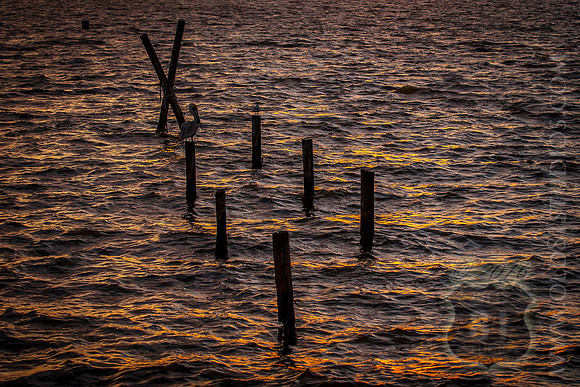 IMG_2702_LR_kf1_print