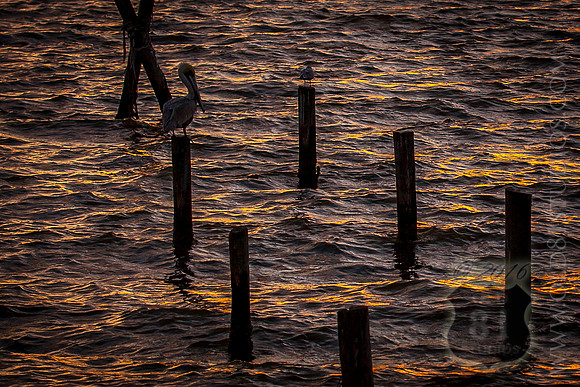 IMG_2702_LR_kf1-2_print resample