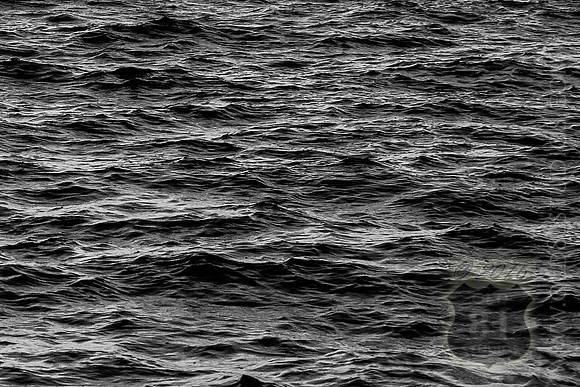 IMG_2702_LR_kfbw1_cropwater_print