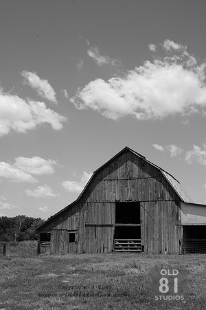 _MG_7362.JPG