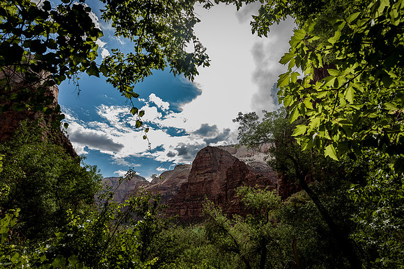IMG_1218_LR_zs1dh_print