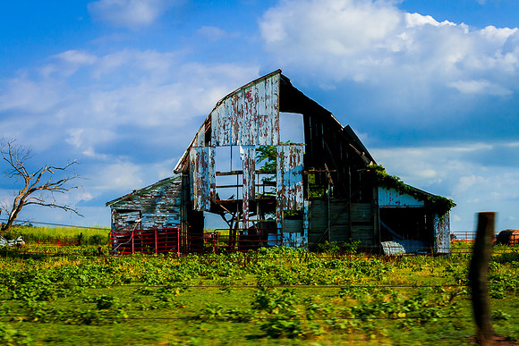 _MG_7194_LR_trl
