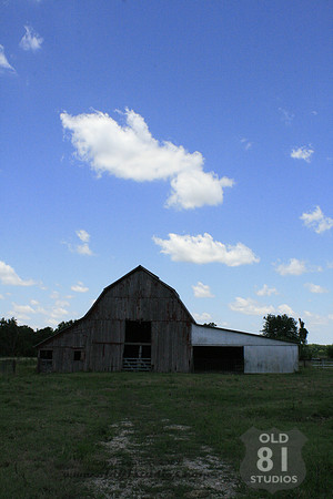 _MG_7435.JPG