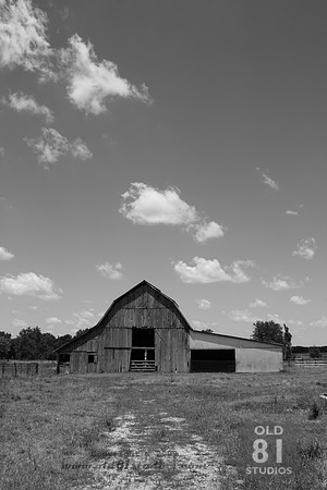 _MG_7428.JPG