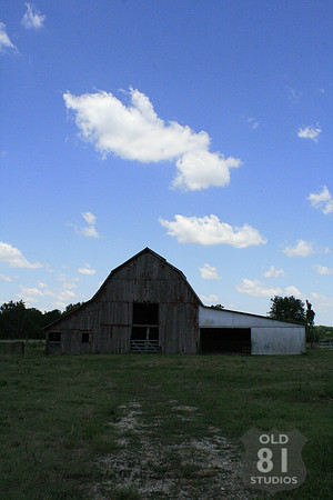 _MG_7436.JPG