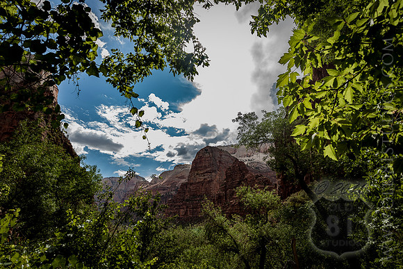 IMG_1218_LR_zs1dh_print_mini