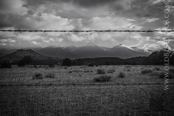 IMG_0700_LR_bw_print