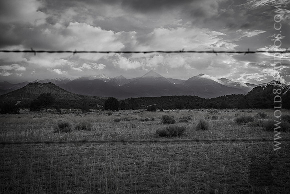 IMG_0700_LR_bw_print_mini