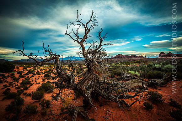 IMG_0899_LR_anp_print