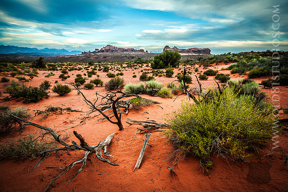 IMG_0934_LR_anp_print
