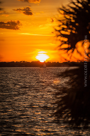 IMG_2697_LR_ihb_print