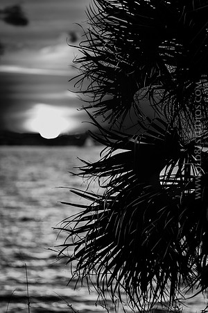 IMG_2698_LR_kfbw2_print