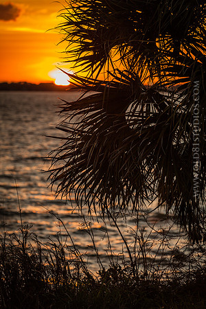IMG_2701_LR_ihb_print