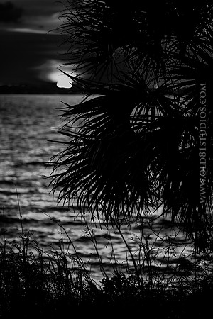 IMG_2701_LR_kfbw1m_print