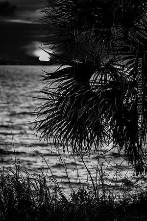 IMG_2701_LR_kfbw1_print