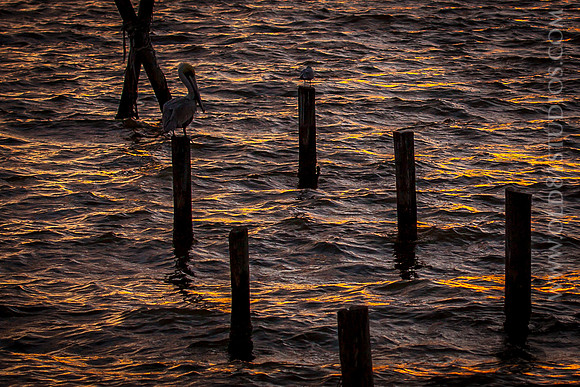 IMG_2702_LR_kf1-2_print no resample