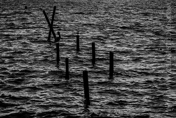 IMG_2702_LR_kfbw1-2_print