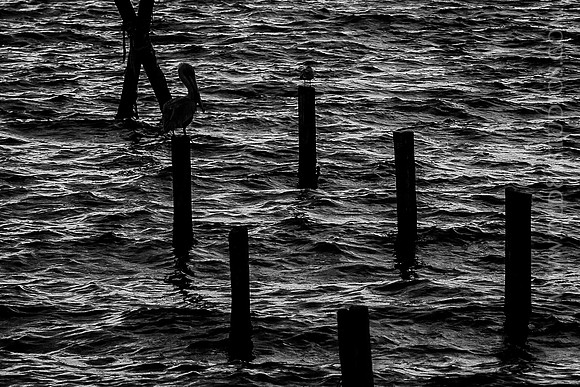 IMG_2702_LR_kfbw1-3_print