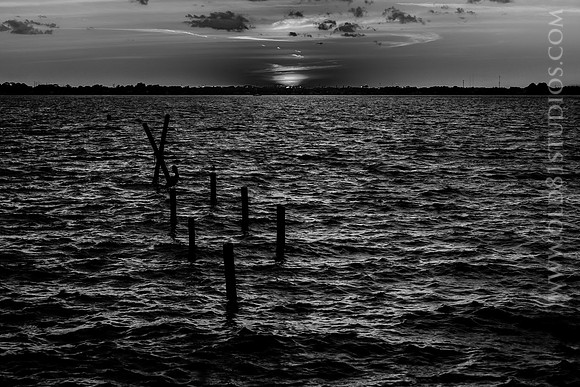 IMG_2702_LR_kfbw1m_print
