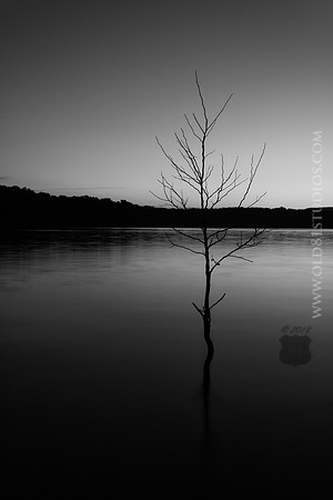 _MG_5277_LR_bw2_print